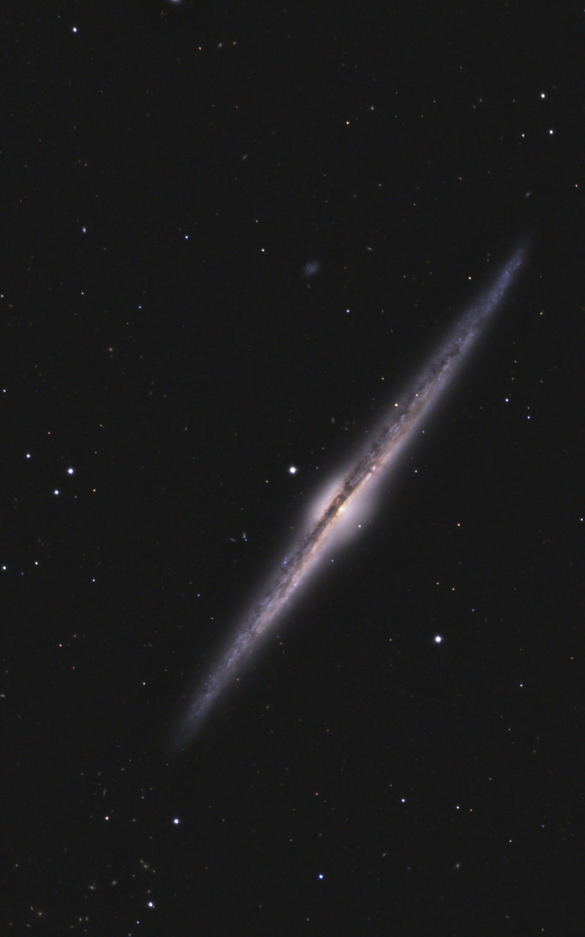 NGC 4565